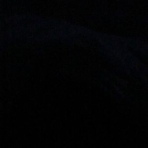 Meet your Posher, Isabella